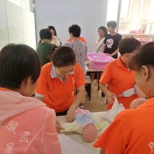 天津專業培訓課程指南 營養師、月嫂與催乳師培訓選擇與價格解析