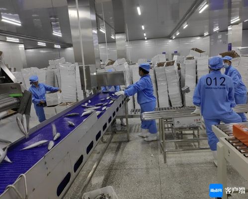 文昌約亭產業園發展駛上快車道，打造產業新高地